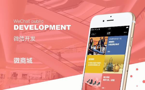 公司积分商城定制 企业积分商城系统开发