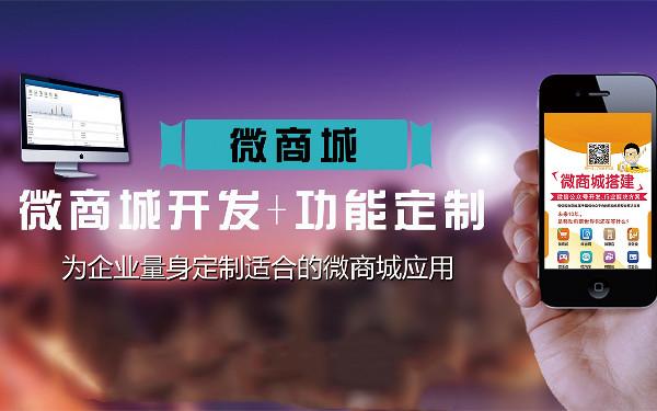 微商城营销定制化方案 微商城怎么进行推广
