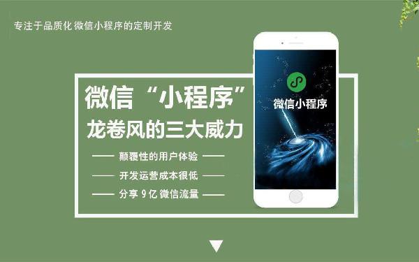 小程序项目价格报表 微信小程序报价方案