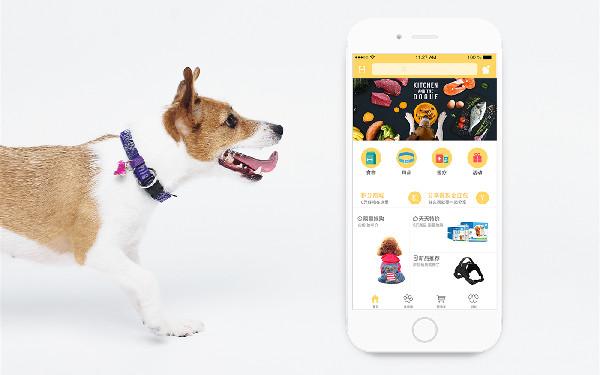 宠物app开发功能 宠物app怎么制作