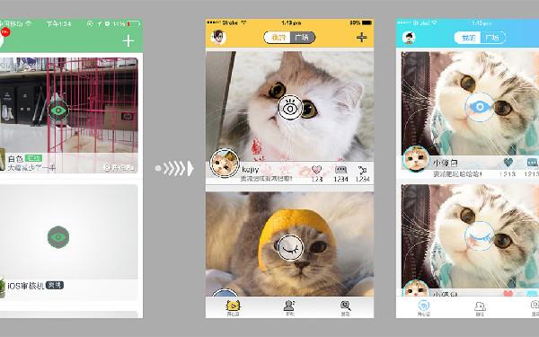 宠物app开发功能 宠物app怎么制作