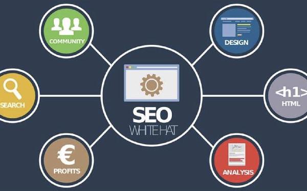 垂直类网站怎么做seo 大型垂直网站SEO优化