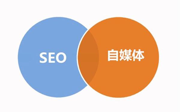 网站SEO优化中，如何通过外链优化提高排名